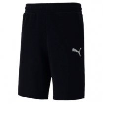 Puma Team Goal Casuals Shorts