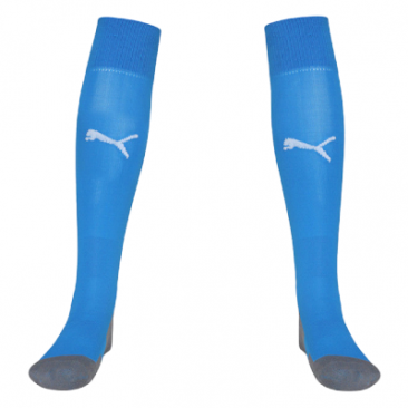 Puma Team Liga Core Football Sock