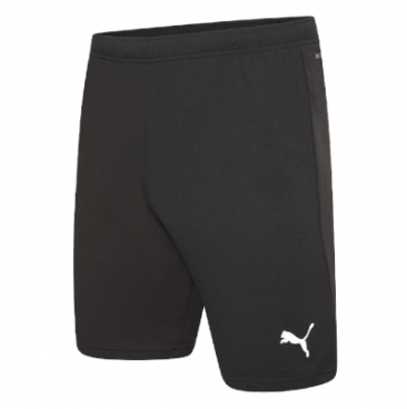 Puma Team Rise  Football Short