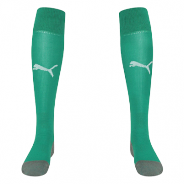 Puma Team Liga Core Football Sock