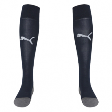 Puma Team Liga Core Football Sock
