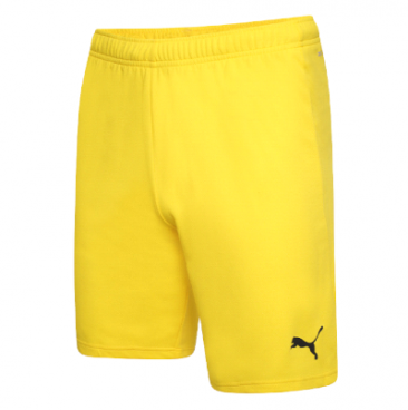 Puma Team Rise  Football Short