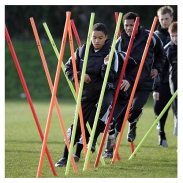 Precision Boundary Poles 1.7m