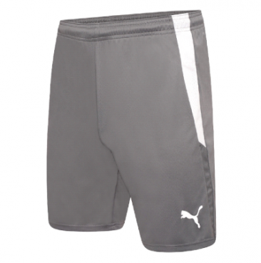 Puma Team Liga Football Short