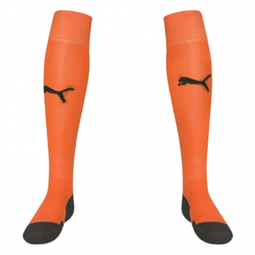 Puma Team Liga Core Football Sock