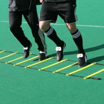Precision Adjustable Speed Ladder