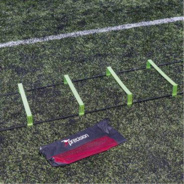 Precision Pinnacle Ladder