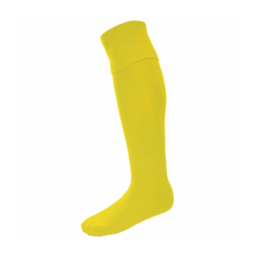 Selsdon Junior Football Sock