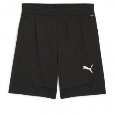 Puma Team Final Training Shorts