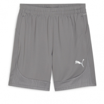 Puma Team Final Training Shorts