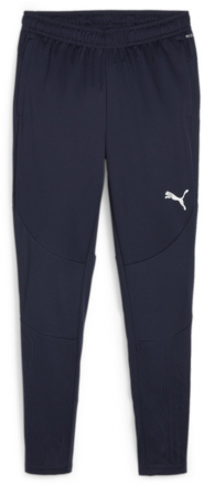 Puma Team Final Training Pants