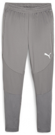 Puma Team Final Training Pants