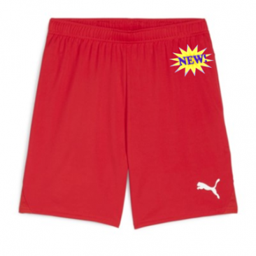 Puma Team Goal Shorts