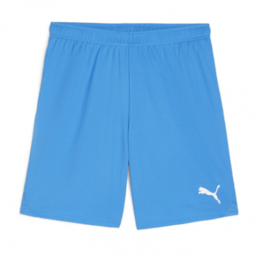 Puma Team Goal Shorts
