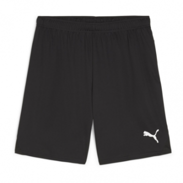 Puma Team Goal Shorts