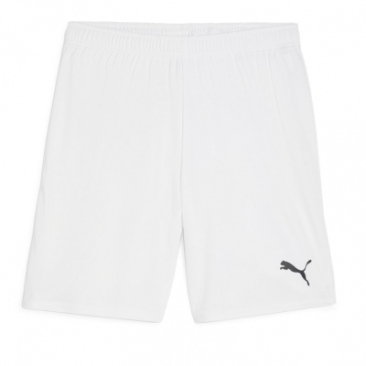 Puma Team Goal Shorts