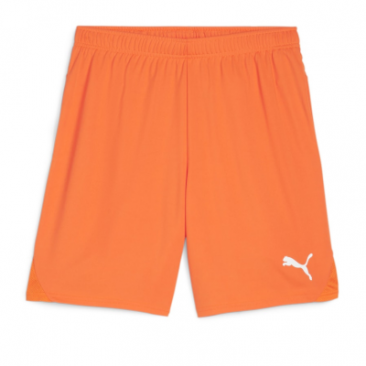 Puma Team Goal Shorts