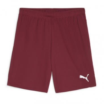 Puma Team Goal Shorts
