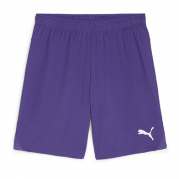 Puma Team Goal Shorts