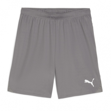 Puma Team Goal Shorts