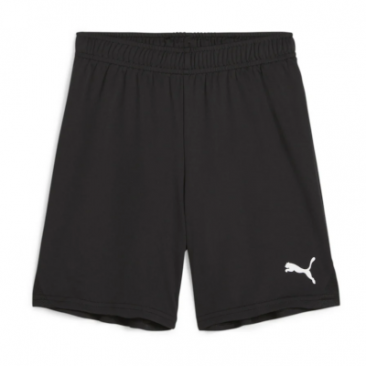 Puma Team Goal Shorts