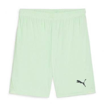 Puma Team Goal Shorts