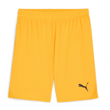 Puma Team Goal Shorts
