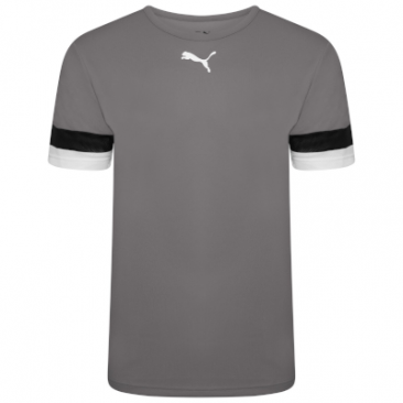 Puma Team Rise Jersey