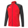 Puma Team Liga Training Jacket