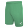 Puma Team Rise  Football Short