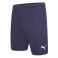 Puma Team Rise  Football Short