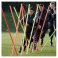 Precision Boundary Poles 1.7m
