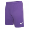 Puma Team Rise  Football Short