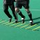 Precision Adjustable Speed Ladder