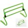 Precision Hurdle Set Multi-Height