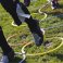 Precision Speed Agility Hoops