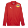 Puma Team Final Training Jacket