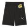 Puma Team Final Training Shorts
