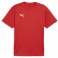 Puma Team Goal Jersey
