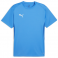 Puma Team Goal Jersey