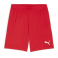 Puma Team Goal Shorts