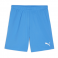 Puma Team Goal Shorts