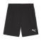 Puma Team Goal Shorts