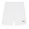 Puma Team Goal Shorts