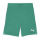 Puma Team Goal Shorts
