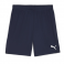 Puma Team Goal Shorts
