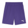 Puma Team Goal Shorts