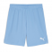 Puma Team Goal Shorts