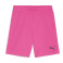 Puma Team Goal Shorts