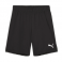 Puma Team Goal Shorts